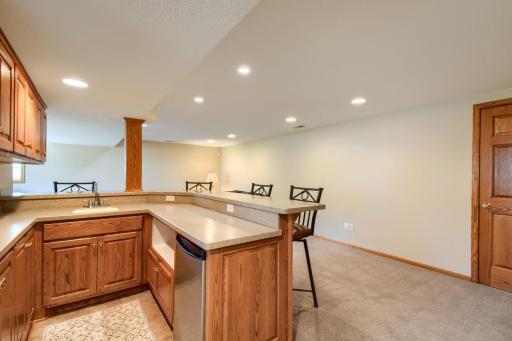 Lower level wet bar/kitchenette with solid surface counters & matching paneled cabinetry & doors throughout