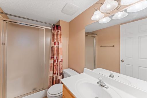Lower level bath adjacent to bedroom.