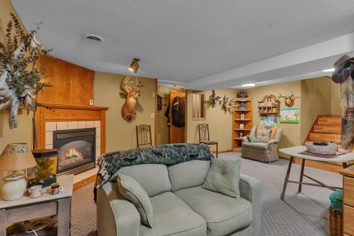 Lower level family room!