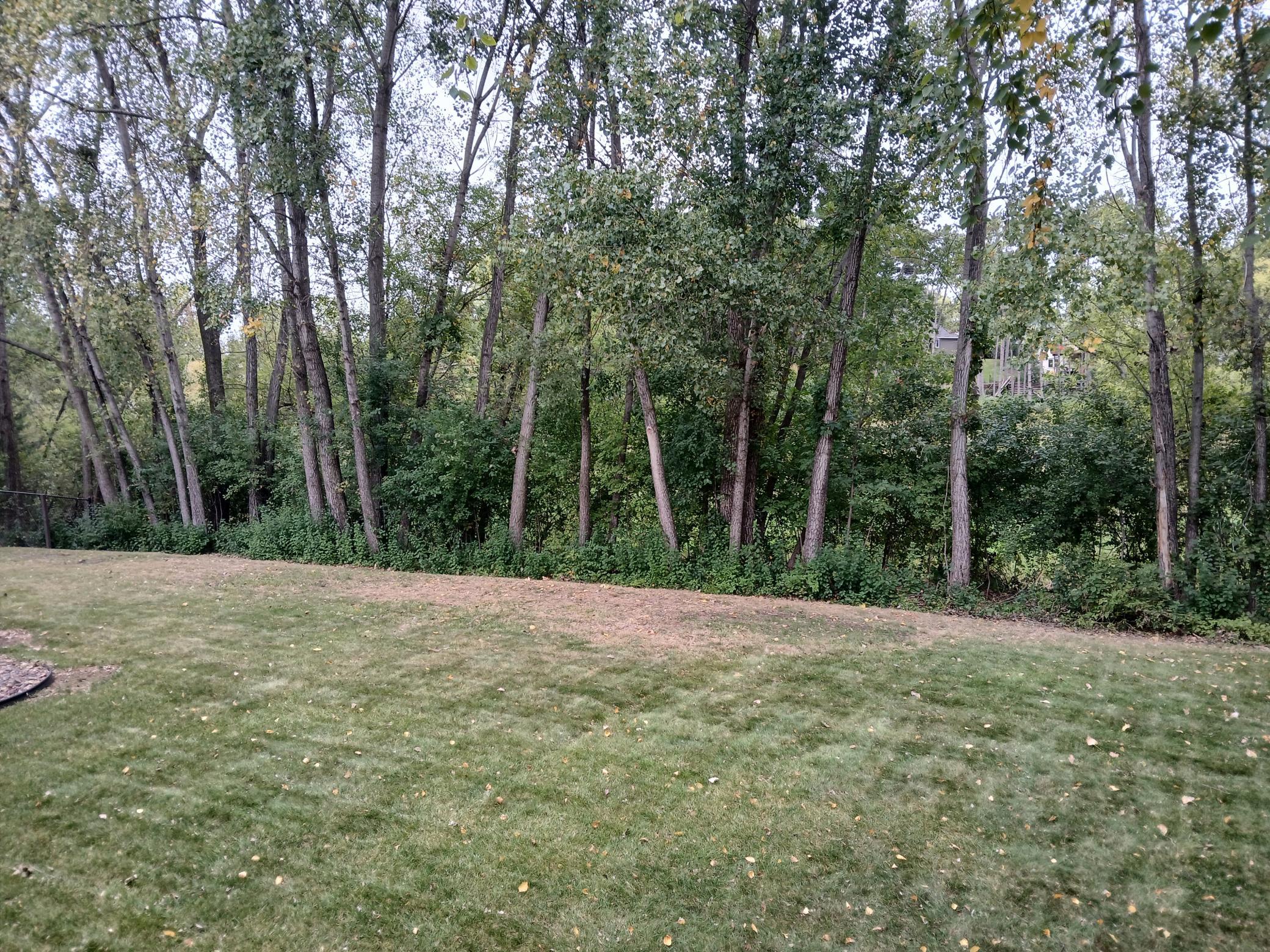 20260924_155417.jpg