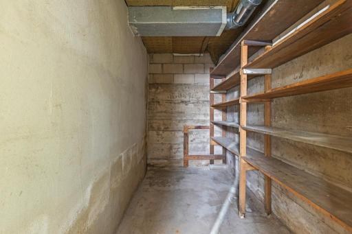 Another storage closet with built-in shelving