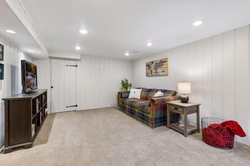 Lower level family room