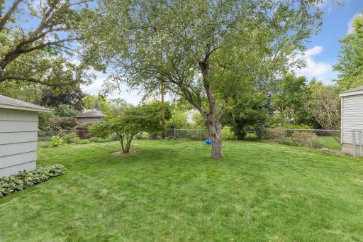 Flat back yard already partially fenced and landscaped!
