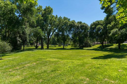 Willow park