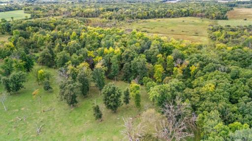 Heavily wooded recreational hunting or pasture land in rear