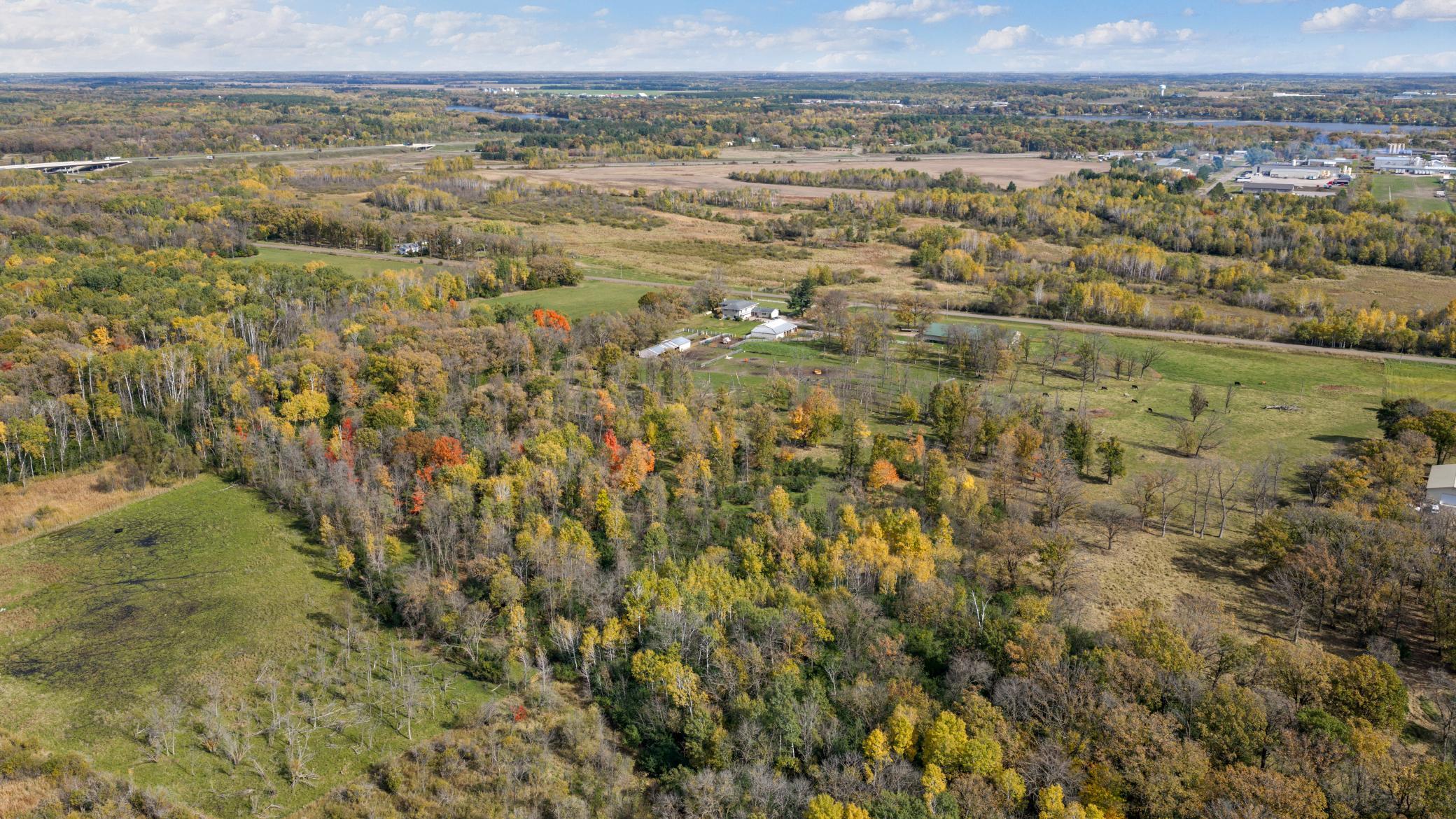 View of the woods in fall!