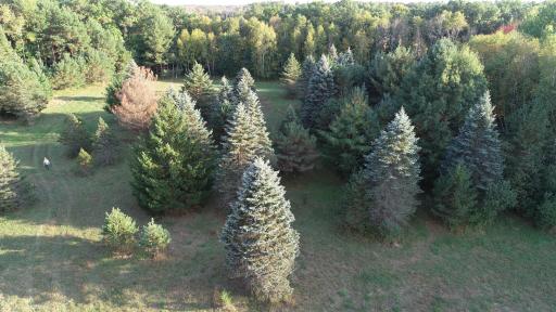 XXXX 217th Avenue NE, Stacy, MN 55005