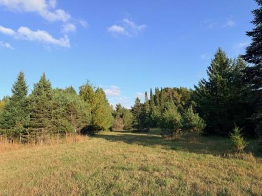XXXX 217th Avenue NE, Stacy, MN 55005