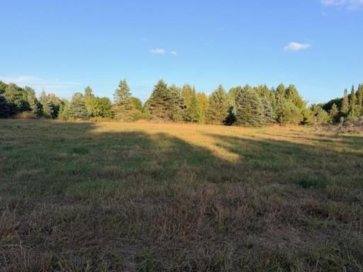 XXXX 217th Avenue NE, Stacy, MN 55005