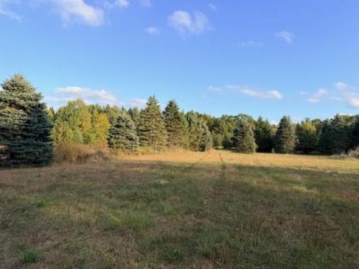 XXXX 217th Avenue NE, Stacy, MN 55005