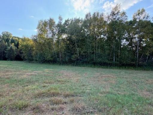XXXX 217th Avenue NE, Stacy, MN 55005
