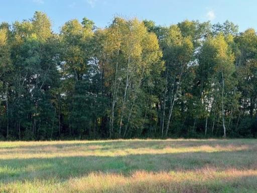 XXXX 217th Avenue NE, Stacy, MN 55005