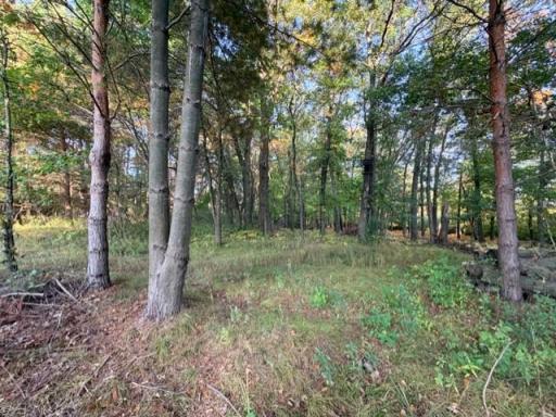 XXXX 217th Avenue NE, Stacy, MN 55005