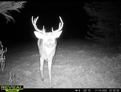 XXXX 217th Avenue NE, Stacy, MN 55005