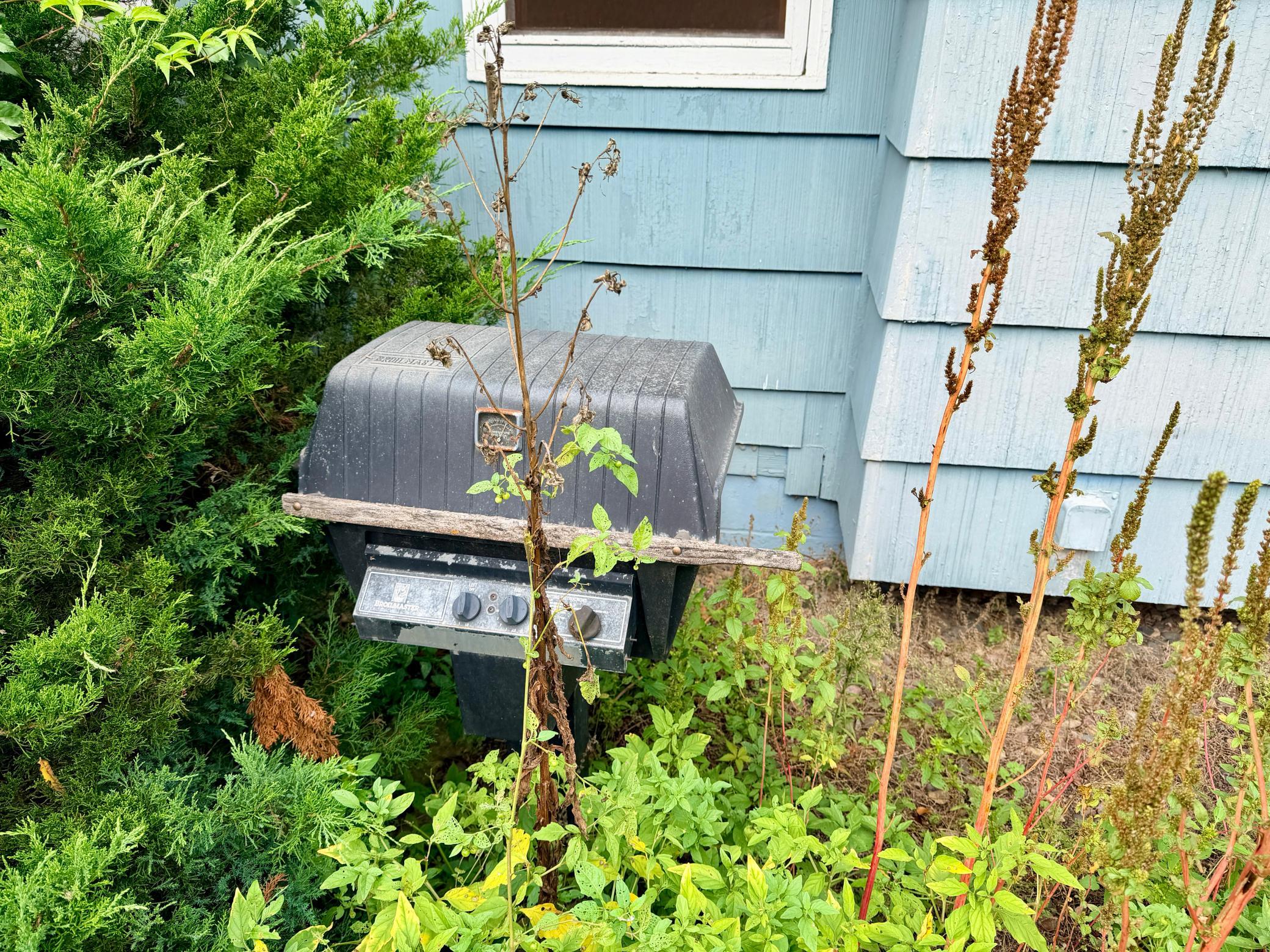 The back yard even has a built-in, hard-wired gas grill.