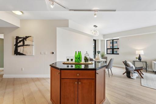 100 3rd Avenue S, 504, Minneapolis, MN 55401