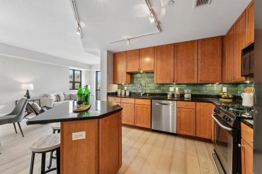 100 3rd Avenue S, 504, Minneapolis, MN 55401