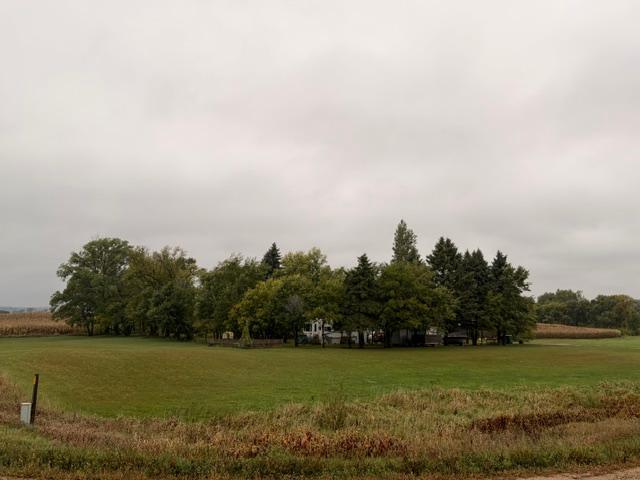 IMG_5525.jpeg