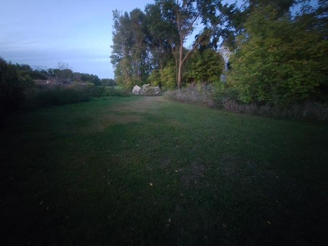 1000019483.JPG