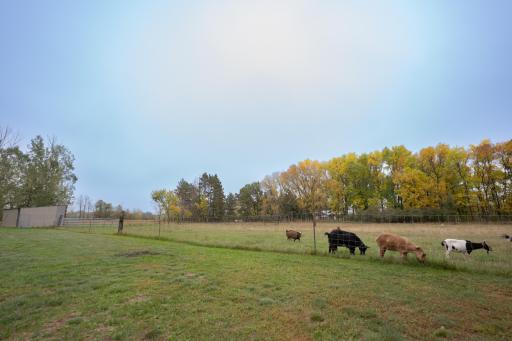 46215 331st Avenue, Motley, MN 56466