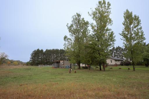 46215 331st Avenue, Motley, MN 56466