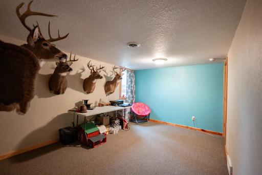 46215 331st Avenue, Motley, MN 56466