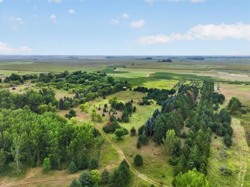 TBD 40th Street NE, Benson, MN 56215