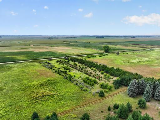 TBD 40th Street NE, Benson, MN 56215