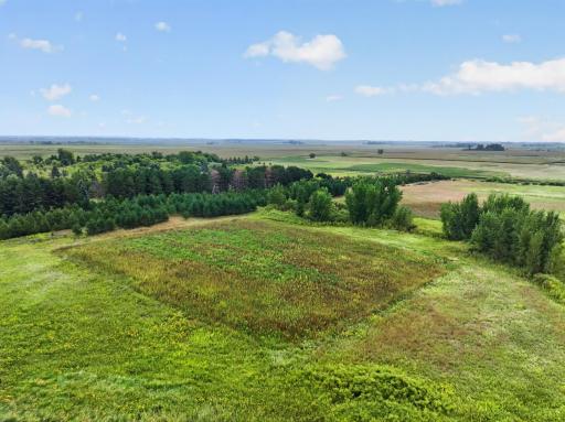 TBD 40th Street NE, Benson, MN 56215