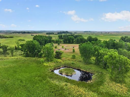 TBD 40th Street NE, Benson, MN 56215