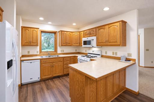 33850 98th Street, Waseca, MN 56093