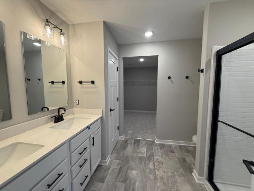 15165 Amber Fields Boulevard, Rosemount, MN 55068