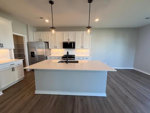 15165 Amber Fields Boulevard, Rosemount, MN 55068
