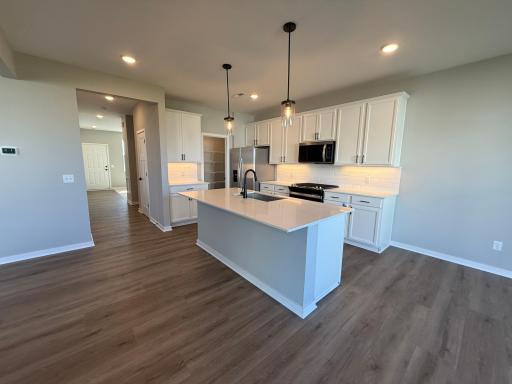 15165 Amber Fields Boulevard, Rosemount, MN 55068