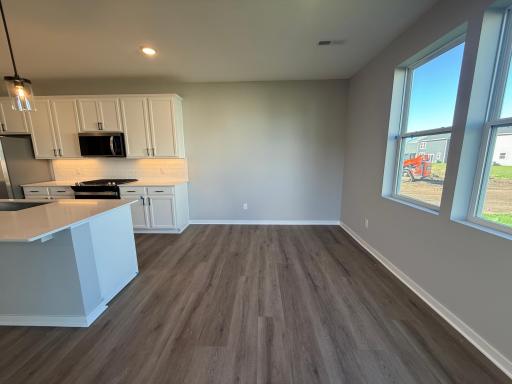 15165 Amber Fields Boulevard, Rosemount, MN 55068