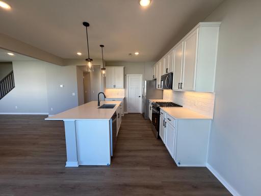 15165 Amber Fields Boulevard, Rosemount, MN 55068