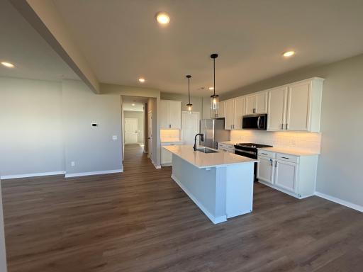 15165 Amber Fields Boulevard, Rosemount, MN 55068