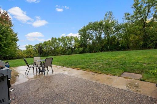 9711 Woodcrest Court, Monticello, MN 55362