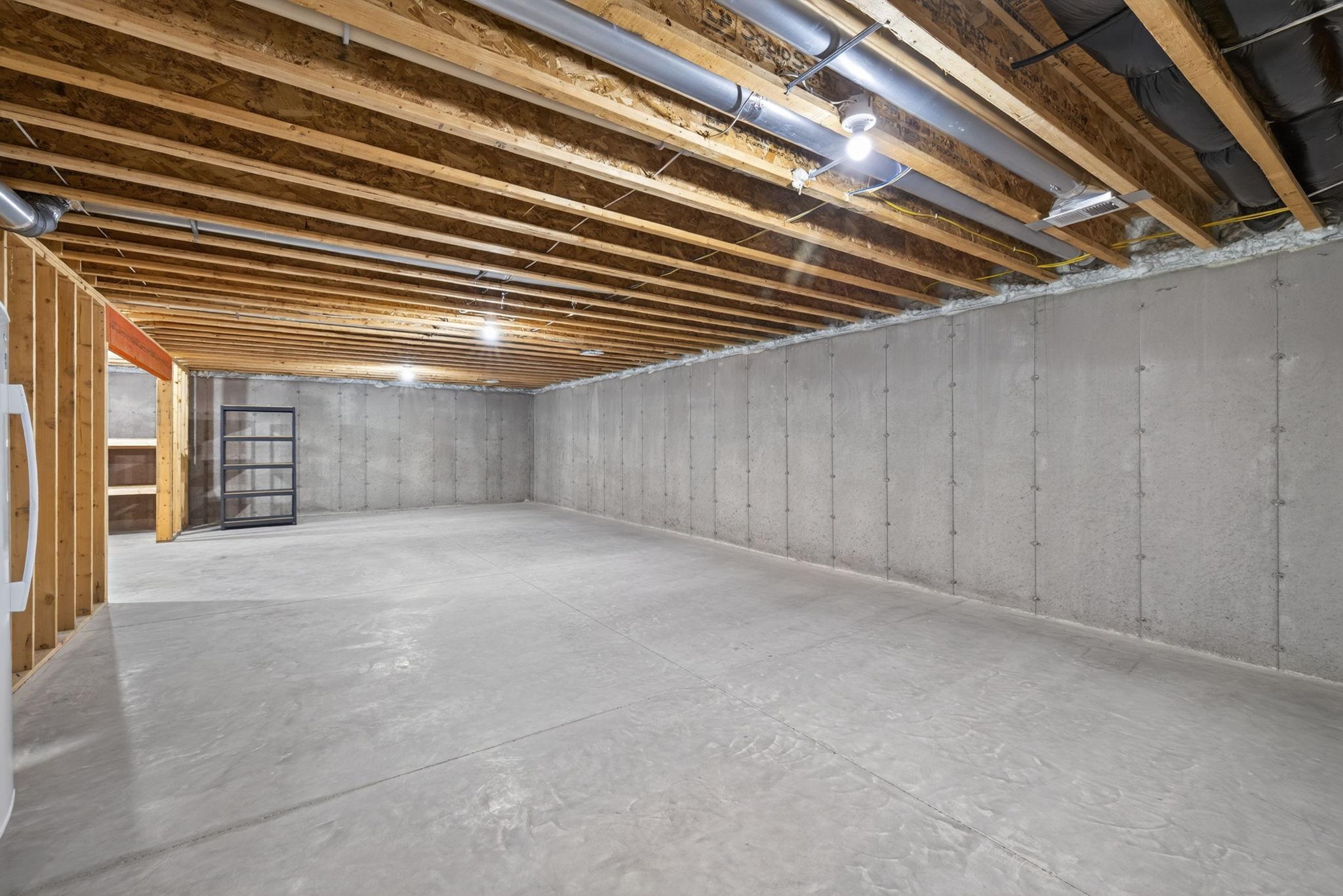 42 Expansive Lower Level - Exceptional Future Potential.jpg