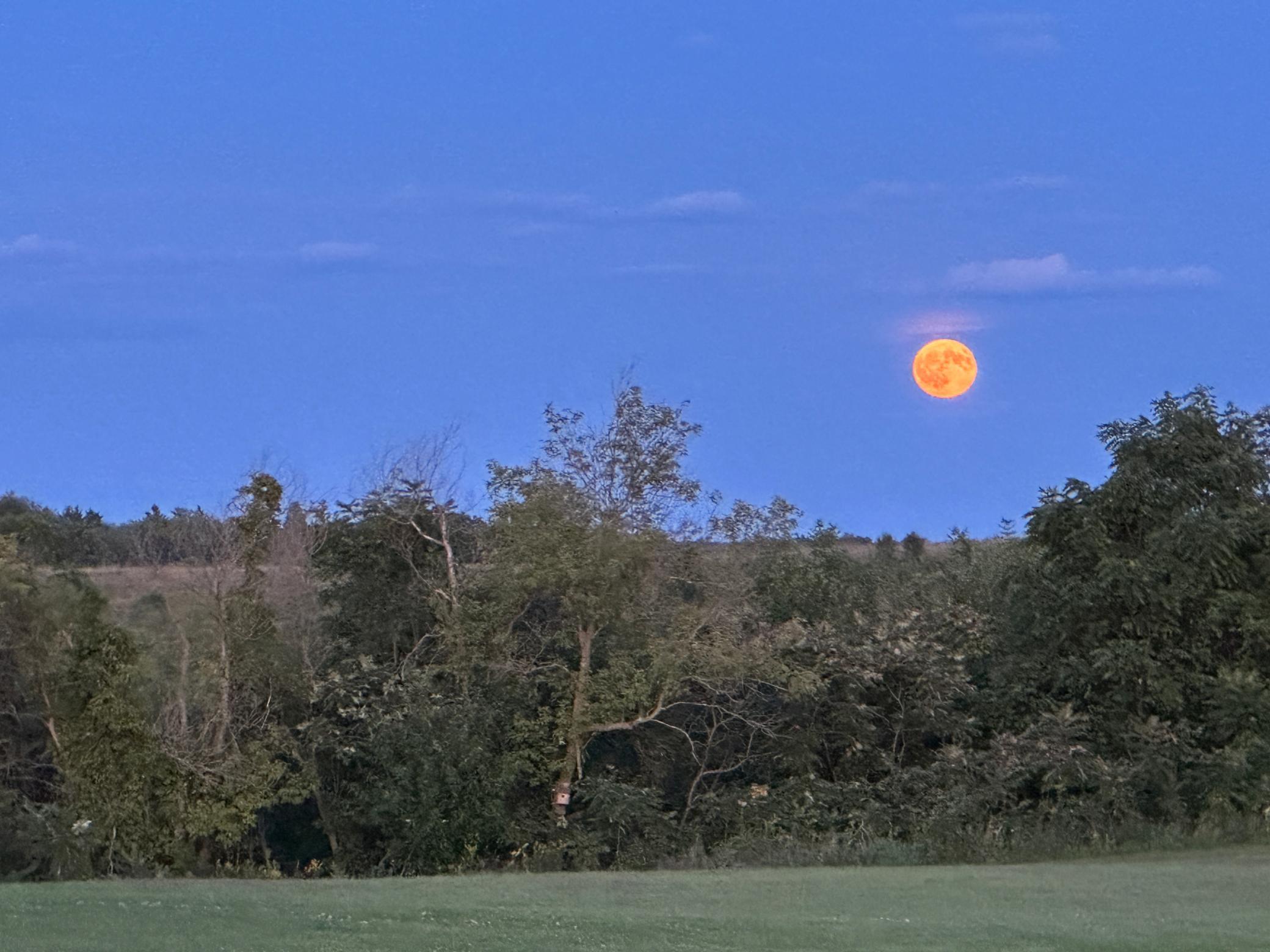 74 Dramatic Moonrises Over the Property.JPEG