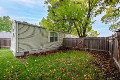 Fenced Yard