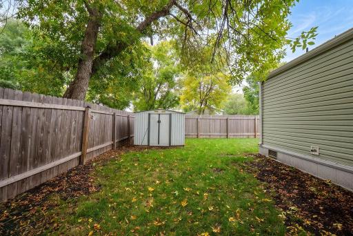Fenced Yard