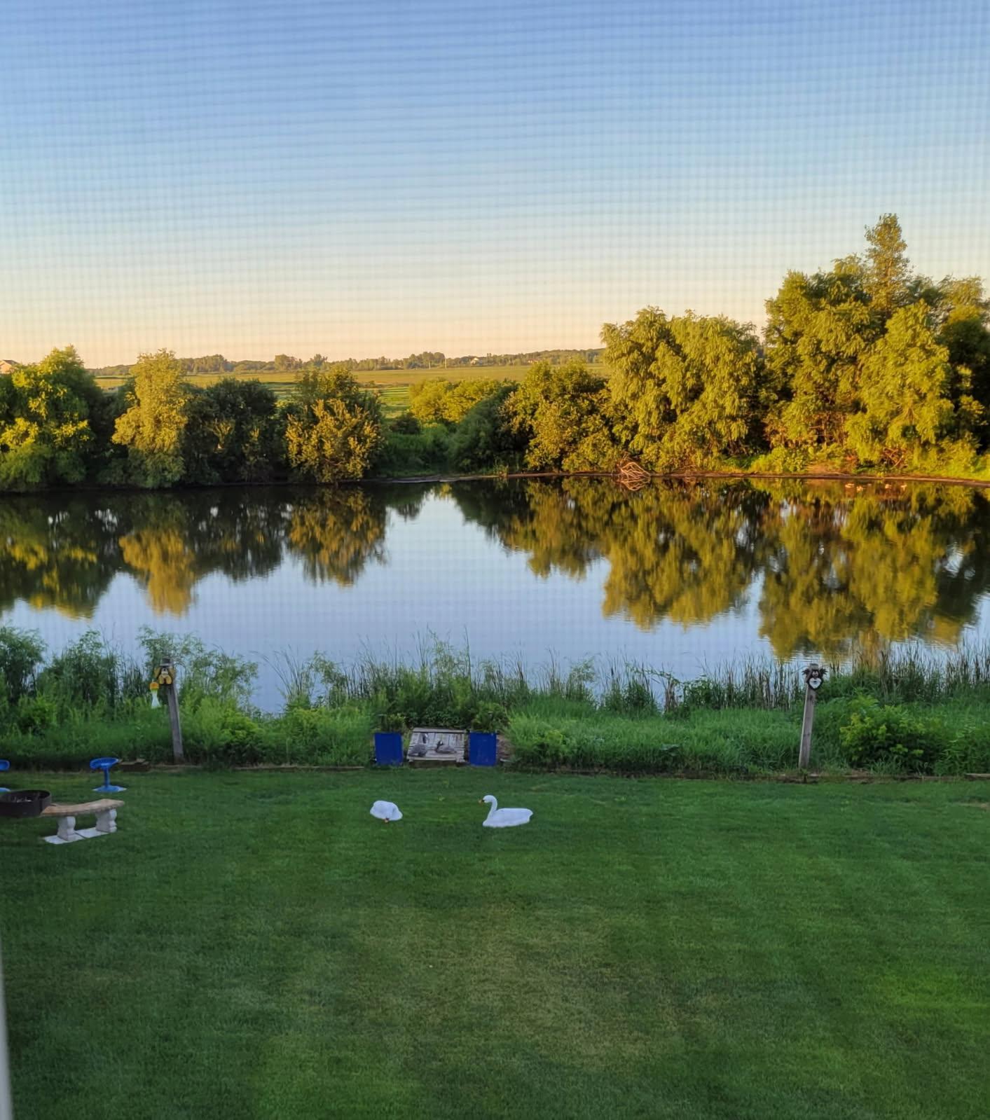 pond.jpg