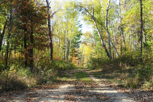 XXX US 71, Park Rapids, MN 56470