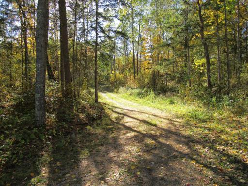 XXX US 71, Park Rapids, MN 56470