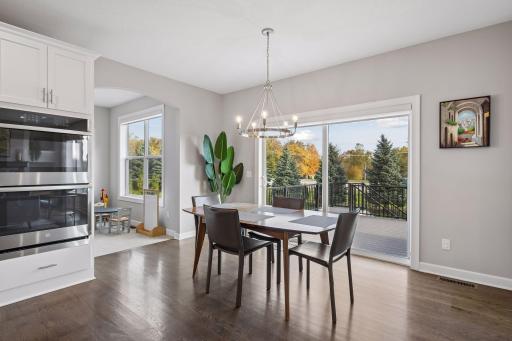 10580 Three Oaks Lane, Champlin, MN 55316