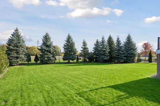 10580 Three Oaks Lane, Champlin, MN 55316