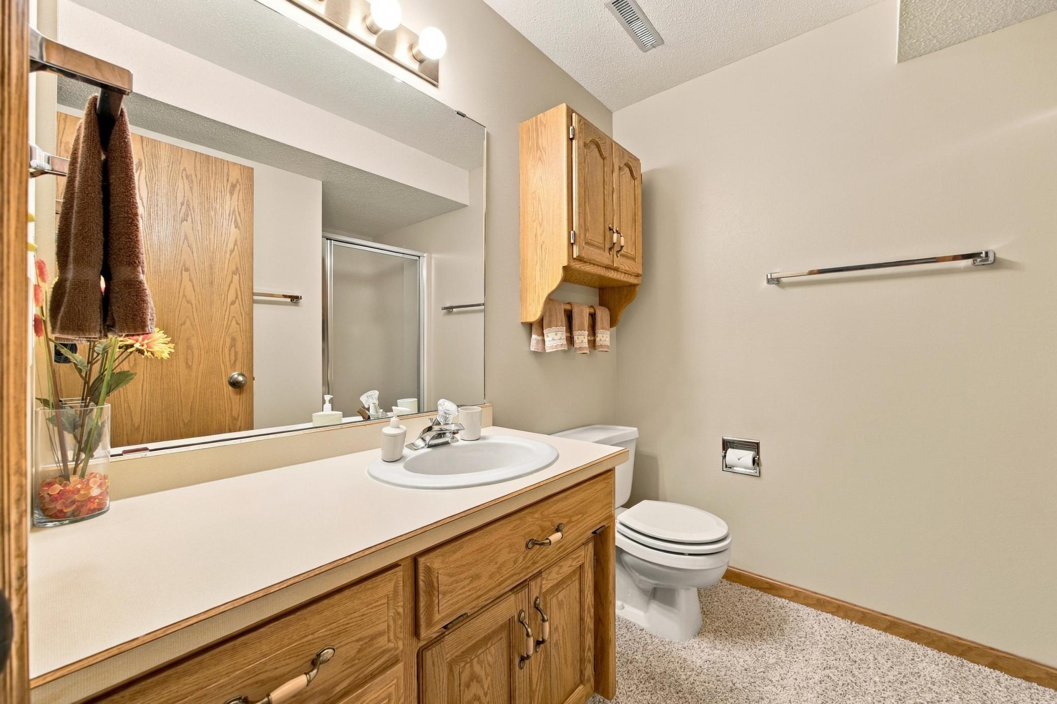 Basement Bathroom