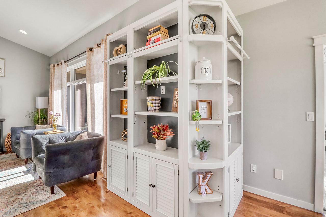 Living room built-ins
