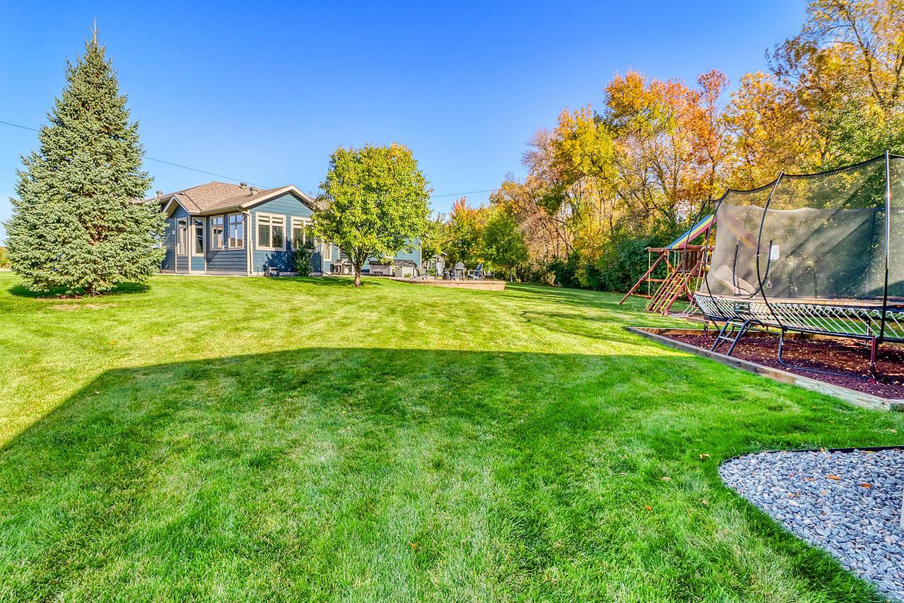 Tree lined backyard